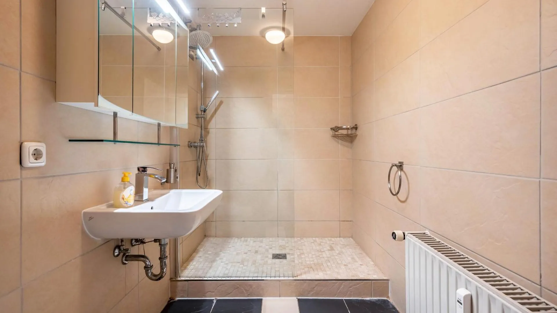 Apartment Villa Waldpark Dresden Germany